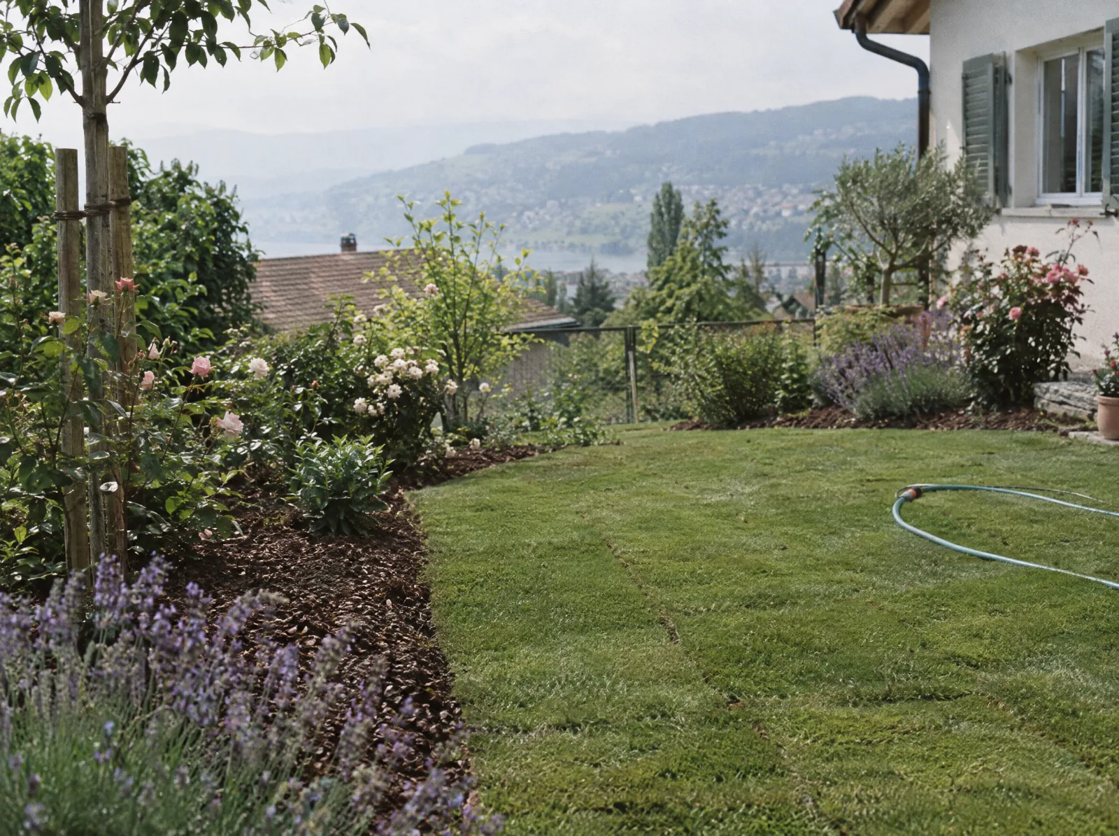 Devis jardinier paysagiste en Suisse romande : Jardin aménagé avec gazon neuf et massifs